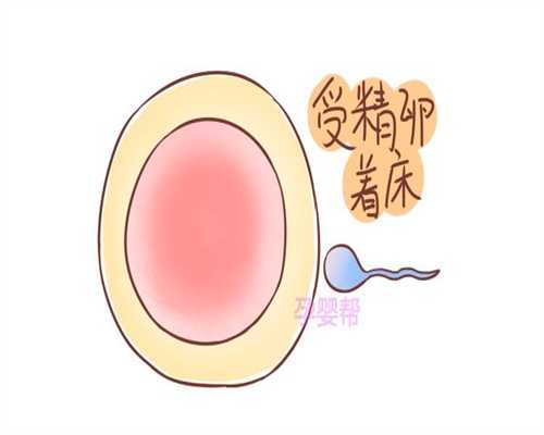 助孕官网_三鹿奶粉事件致广东增加进口婴幼儿包