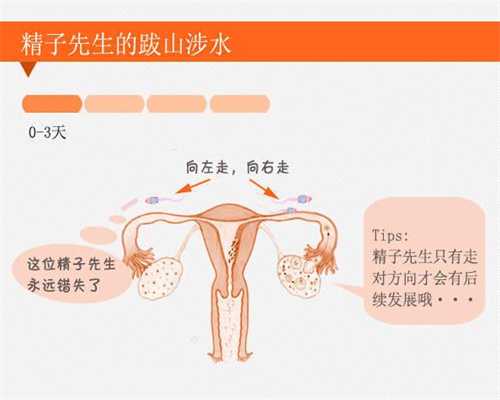 广州代孕中心，广州试管代怀孕，广州代孕一定要同房吗
