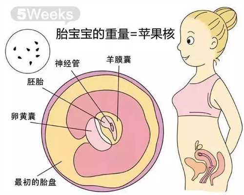 广州急寻代孕，广州代孕要多少钱，广州试管代孕成功的案例