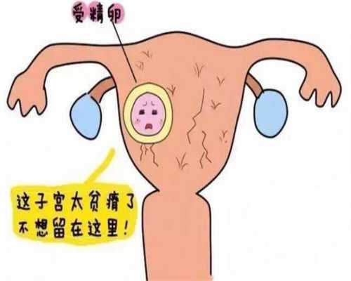 广州代孕试管`广州代怀孩子哪里找`广州借卵子代孕生子的步骤