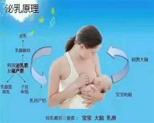 供卵移植成功率-广州代孕小孩_泰国试管婴儿流程，这四步直接影响成功率