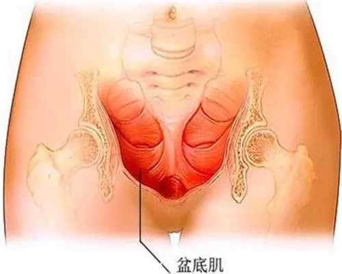 广州代孕的多少钱-代孕是先找代母还是先做胚胎_试管婴儿做好这些准备，试管